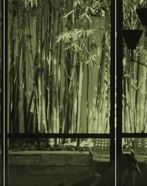 Oscar Niemeyer with Lamp